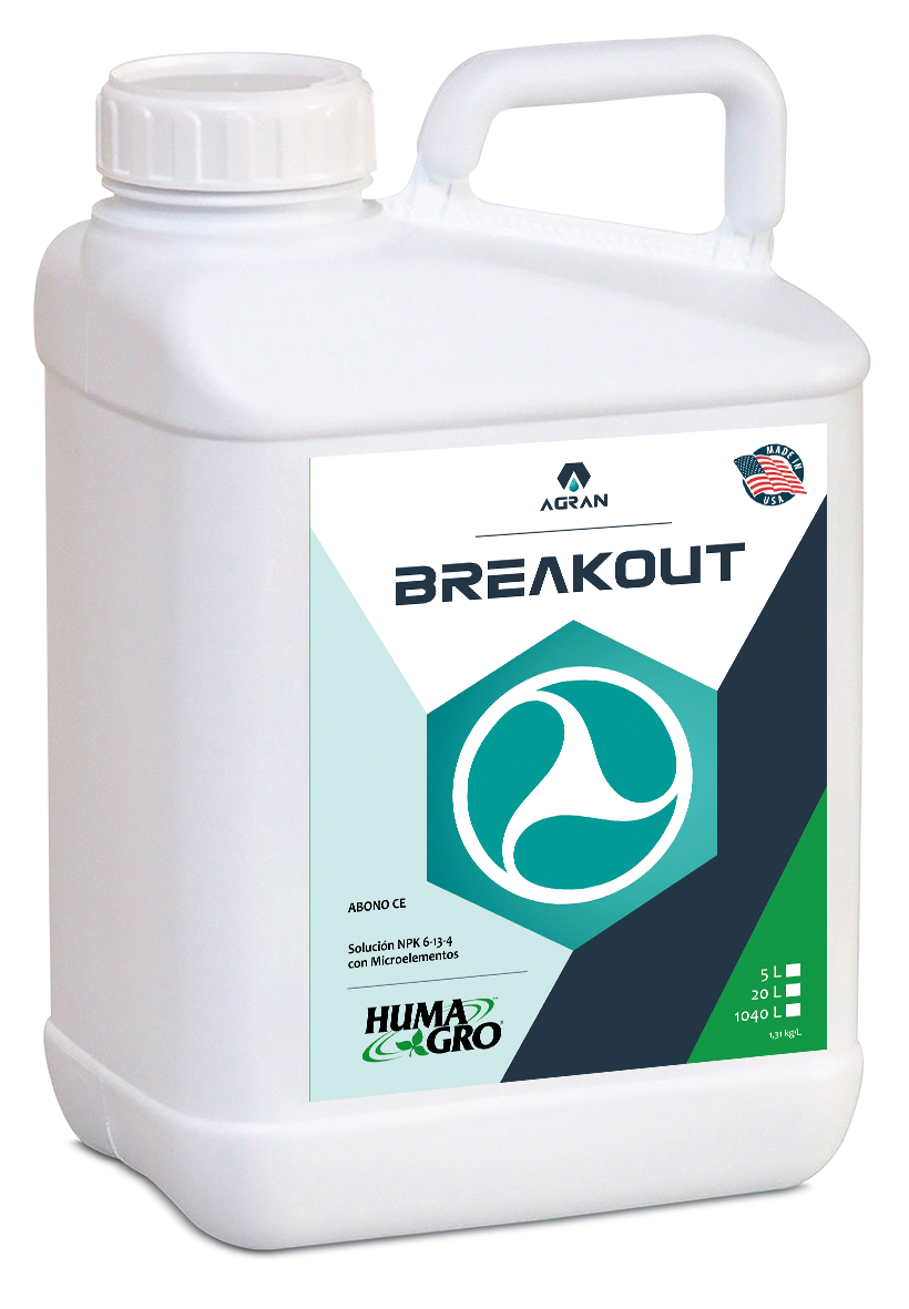 Producto BREAKOUT