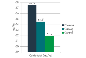 podredumbre apical. problemas de movilidad de calcio
