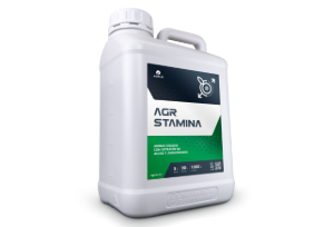 STAMINA
