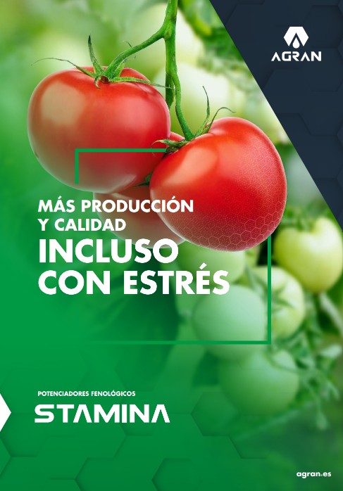 portada folleto stamina