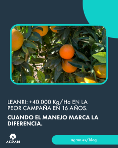 fertilizantes en narano y mandarino