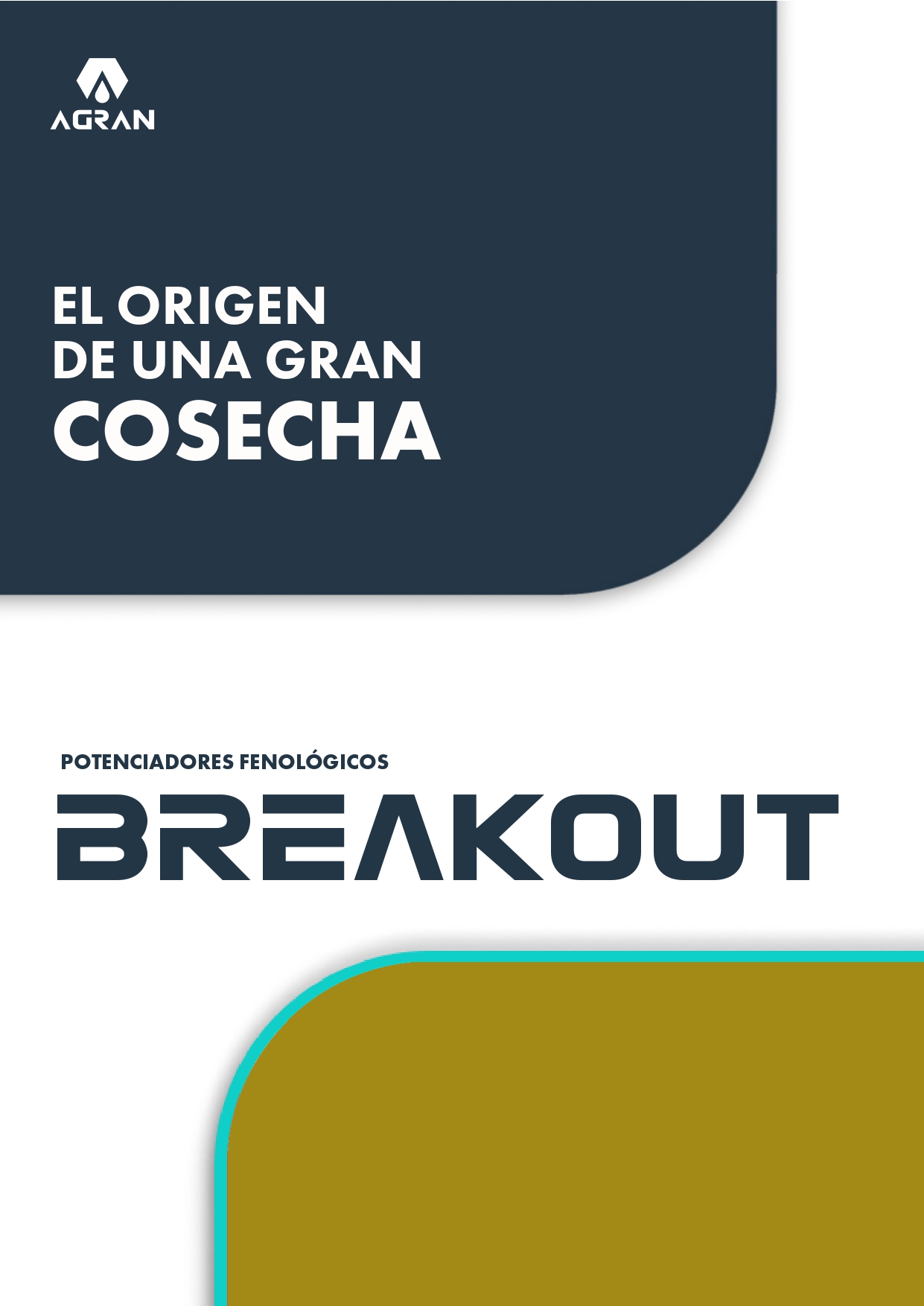 portada-folleto-breakout