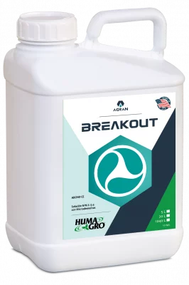 Producto BREAKOUT